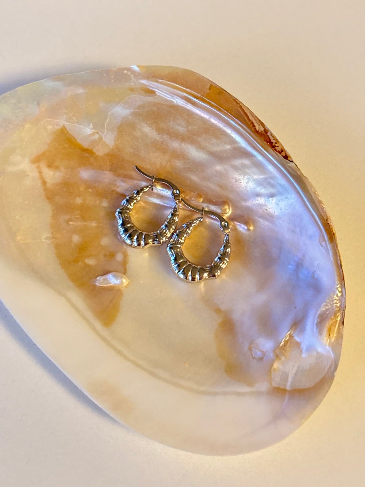 Classic Hoop Earrings