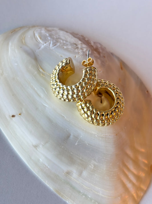 Classic Hoop Earrings