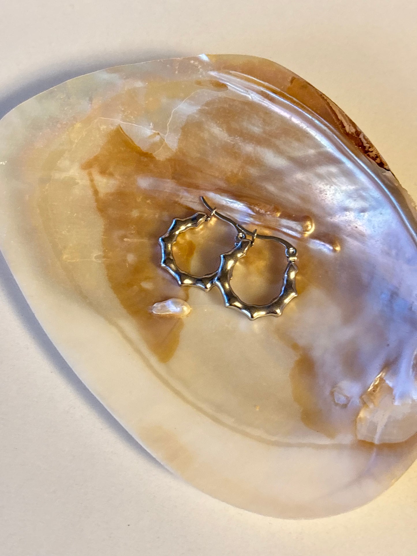 Classic Hoop Earrings